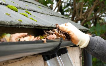 gutter cleaning Plumstead